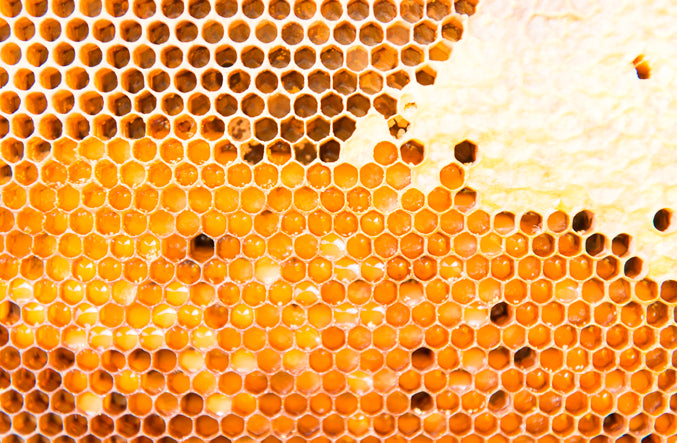 Here’s Why Bee Products Are A Sting To The Environment
